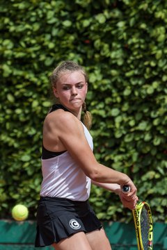 Bild 178 - RL THC von Horn und Hamm - TC SCC Berlin : Ergebnis: 6:3